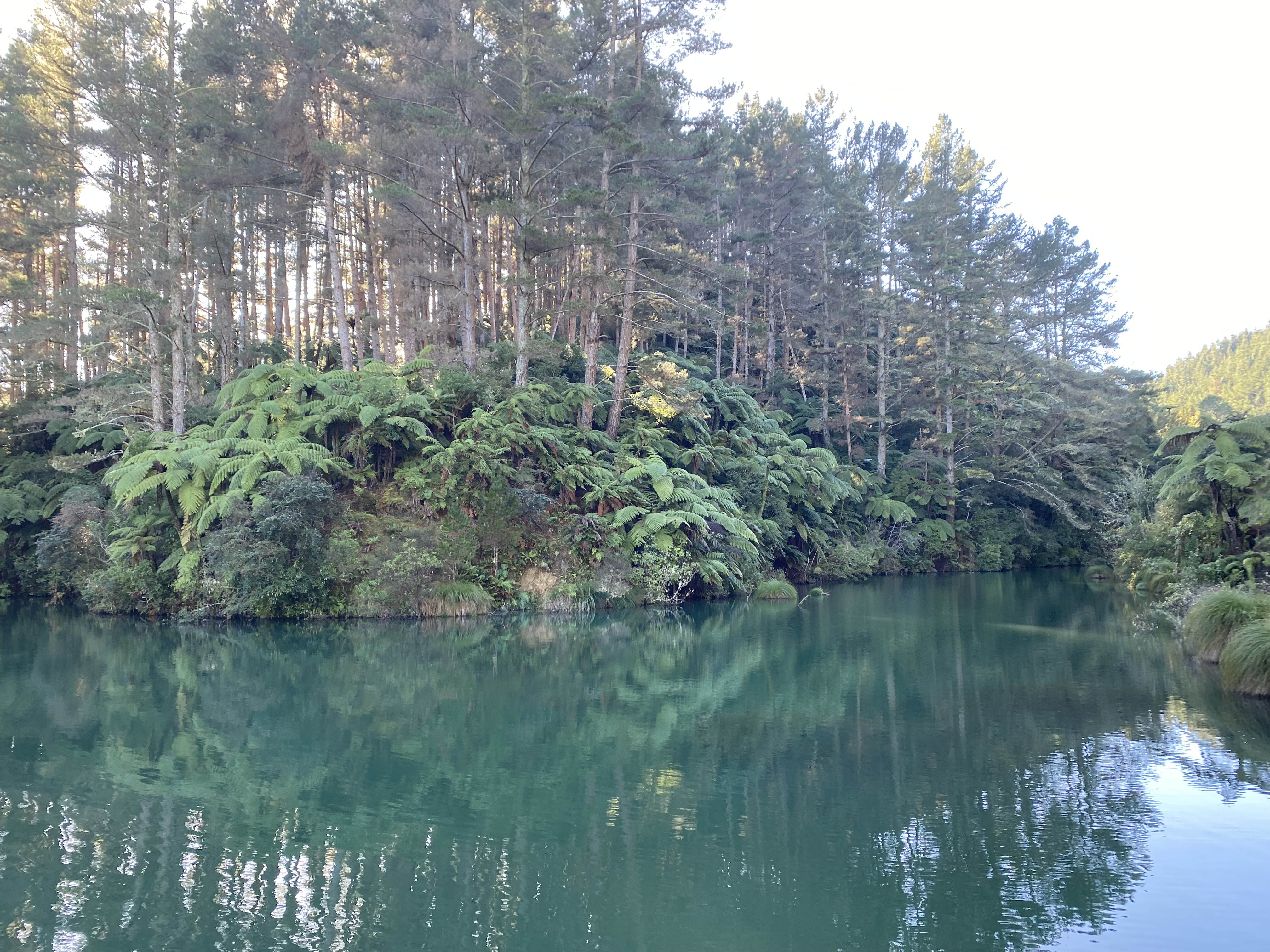 Water source landscape